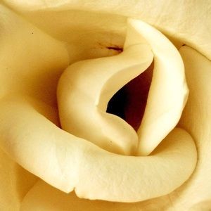 Original Photo Art Print